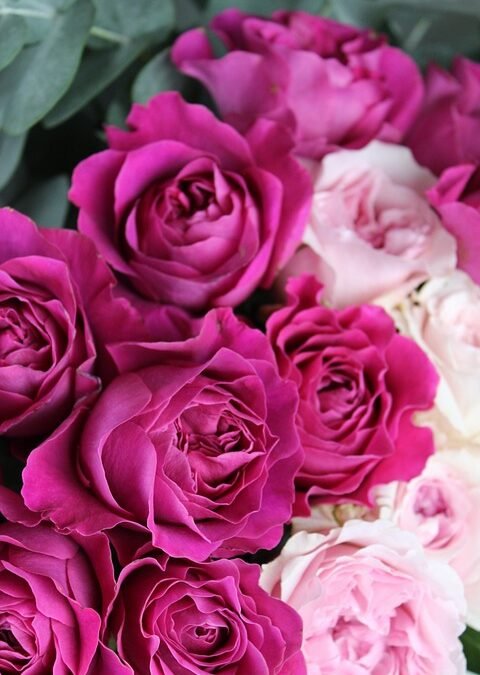 Cómo una Agencia de Marketing Digital Puede Transformar tu Estrategia en Línea